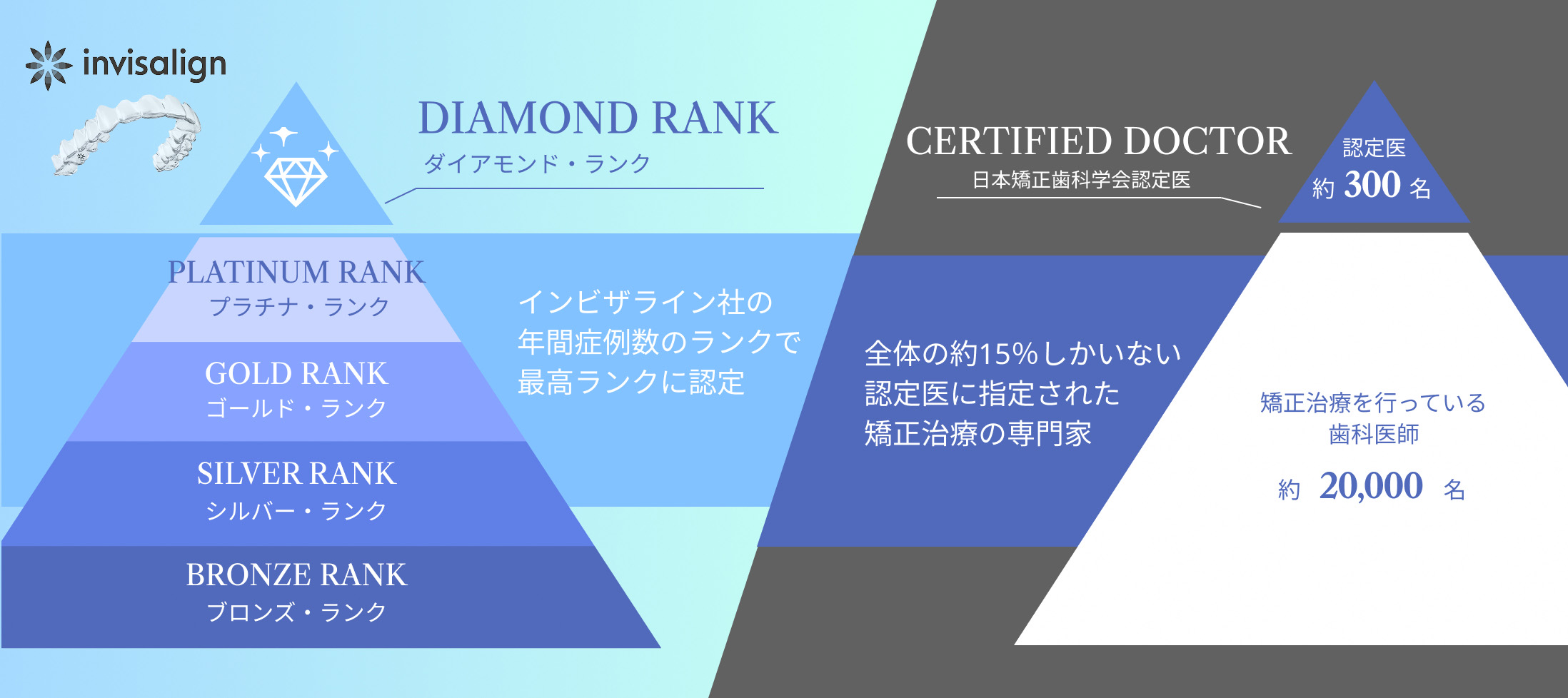 選ばれる理由